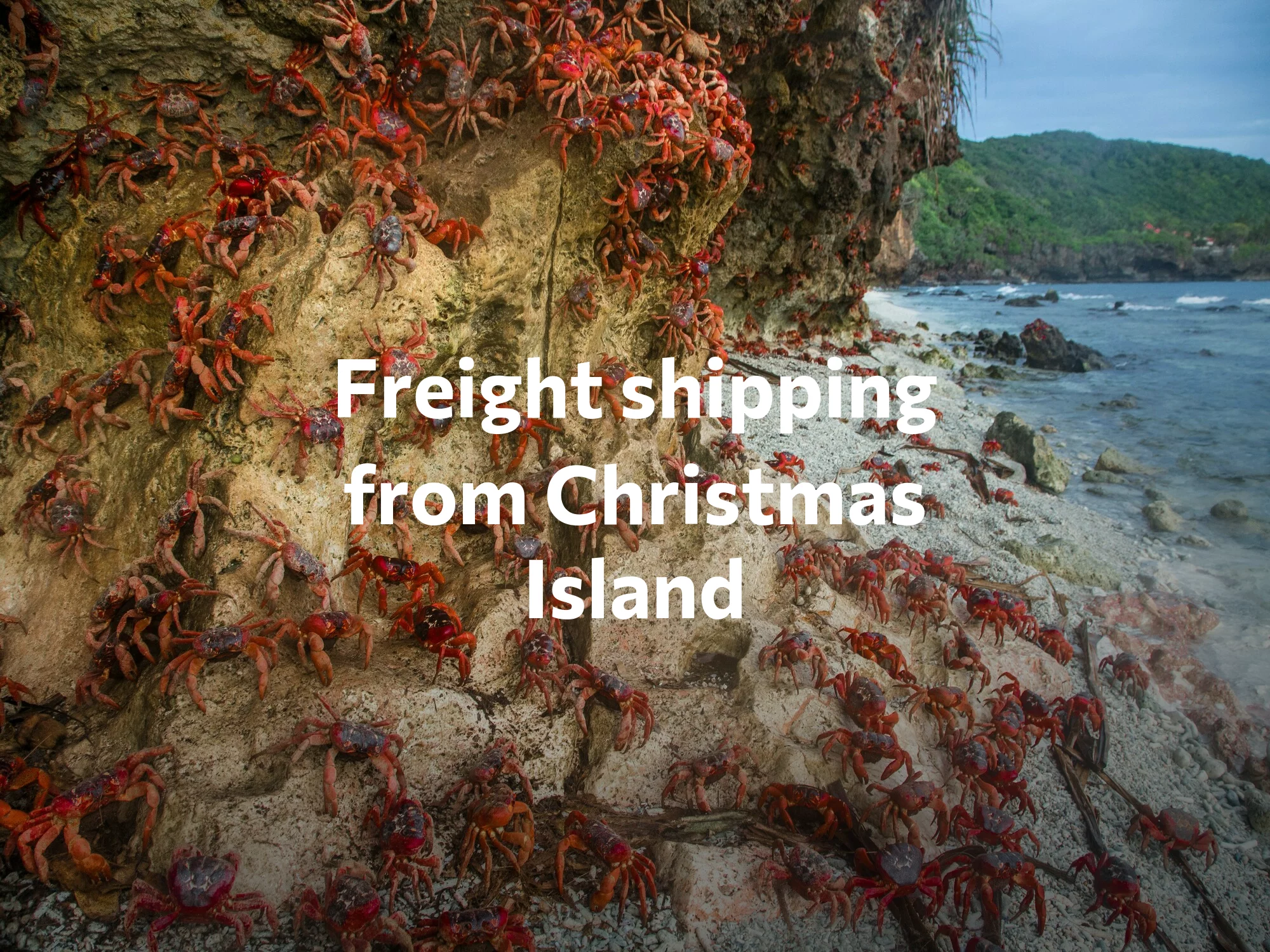 Shipping company from Christmas Island, freight rates for FTL and LTL shipping in Christmas Island