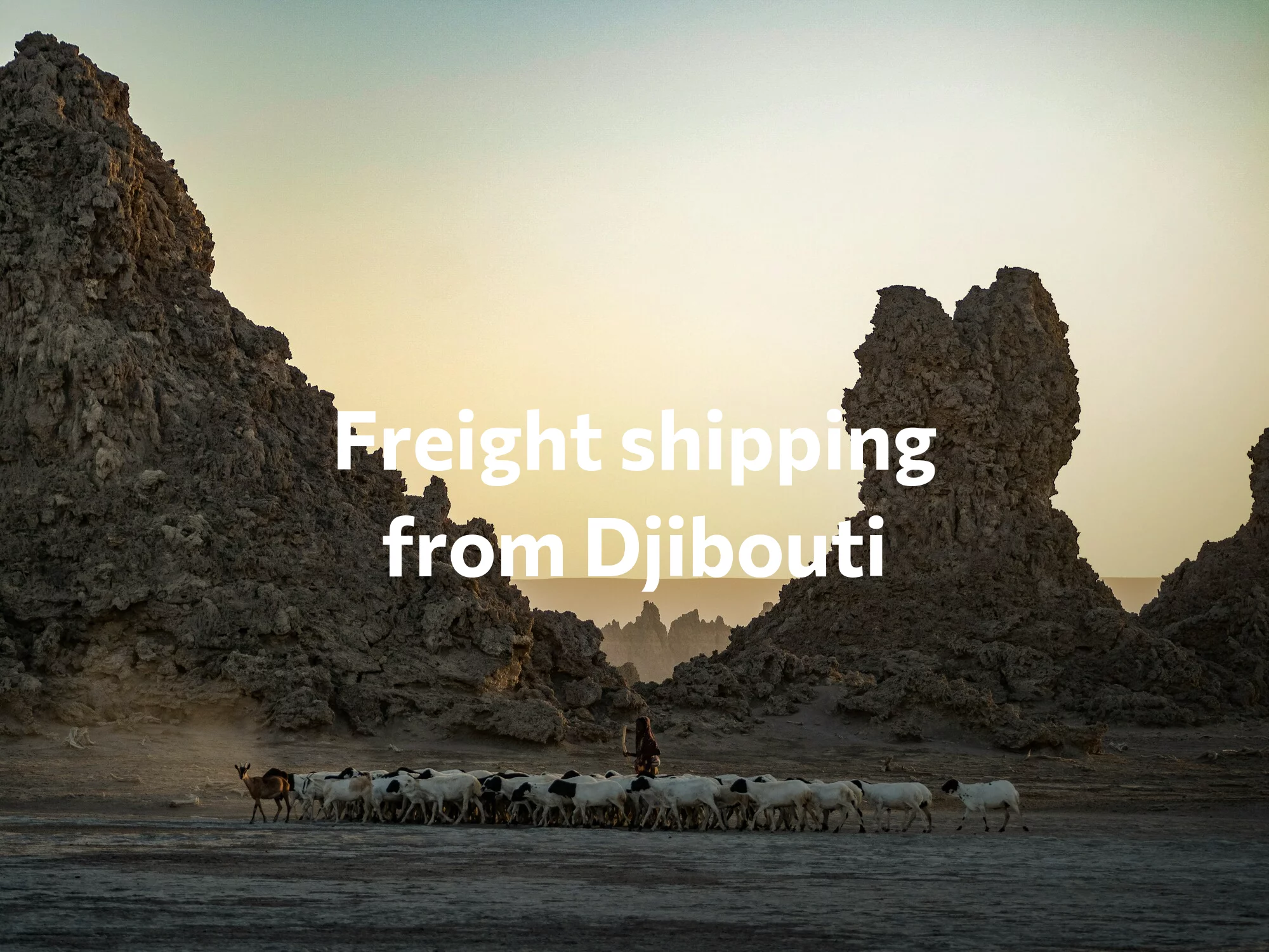 Shipping company from Djibouti, freight rates for FTL and LTL shipping in Djibouti