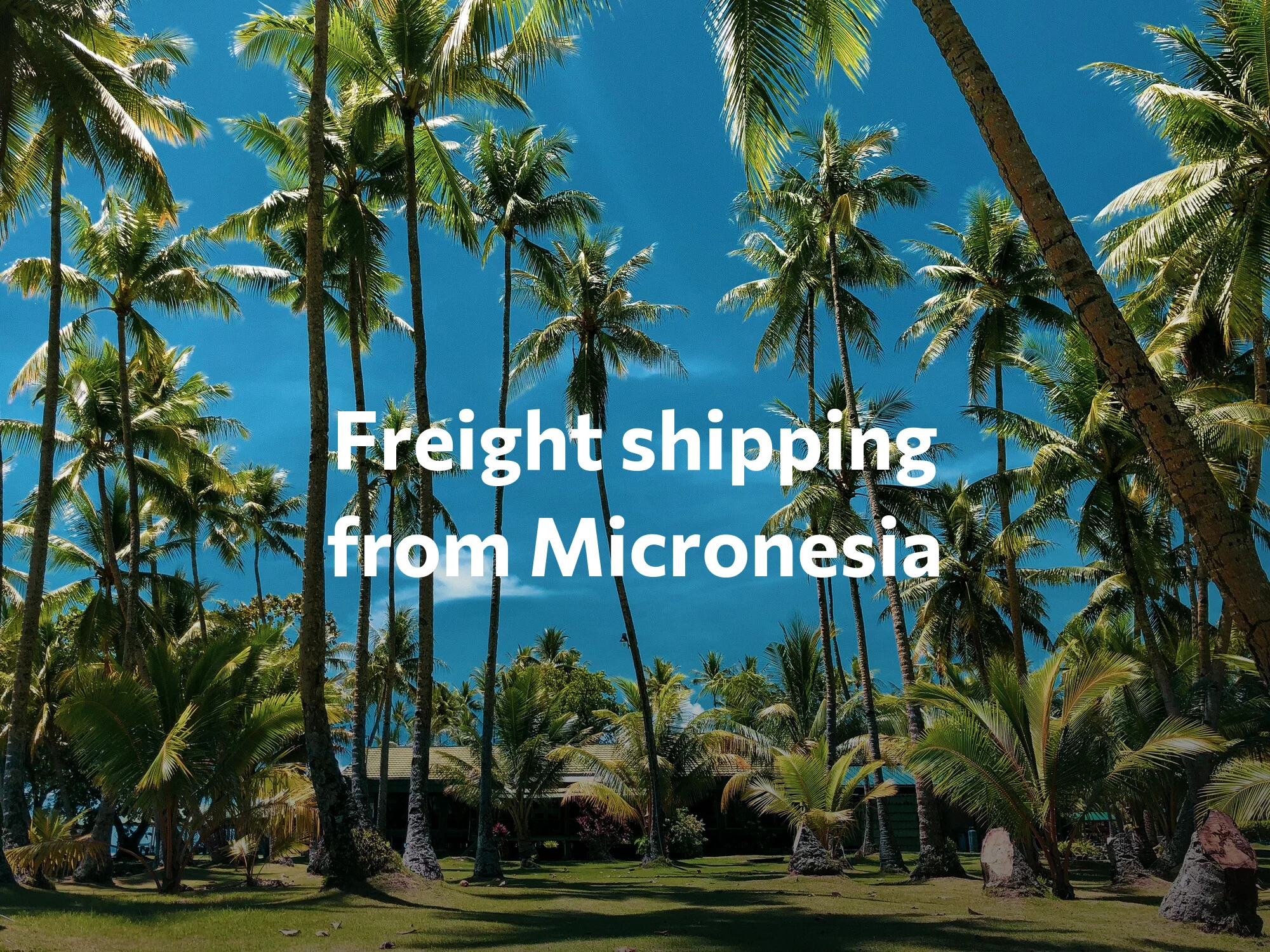 Shipping company from Micronesia