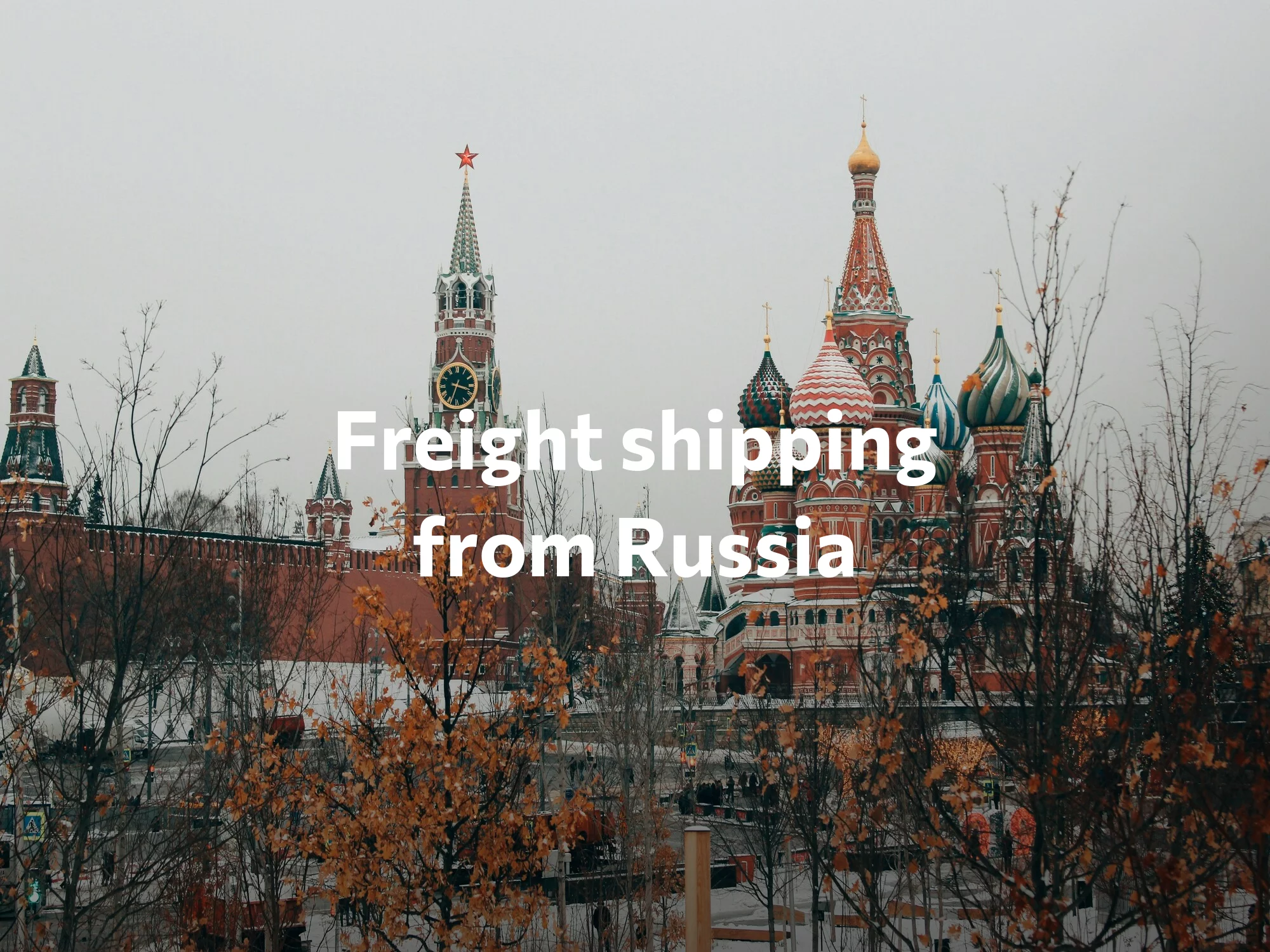 Shipping company from Russia, freight rates for FTL and LTL shipping in Russia