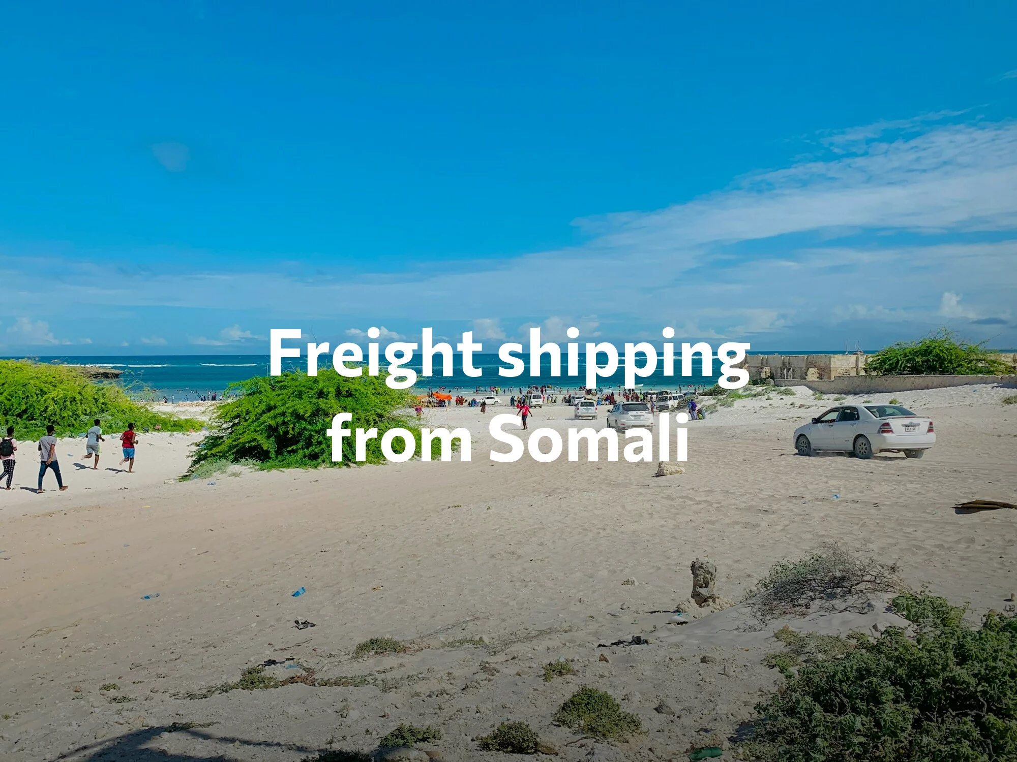 Shipping company from Somali, freight rates for FTL and LTL shipping in Somali