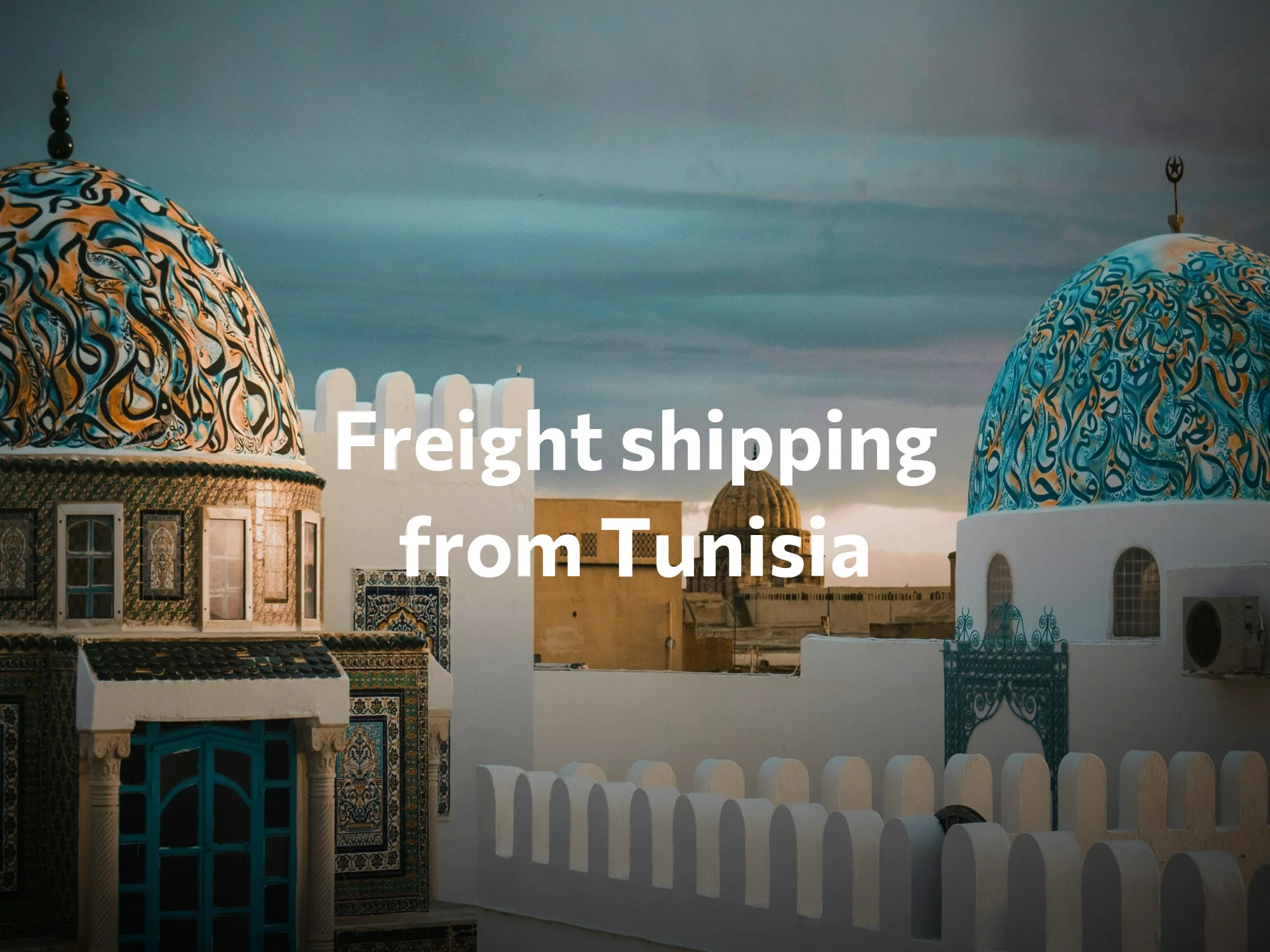 Shipping company from Tunisia, freight rates for FTL and LTL shipping in Tunisia