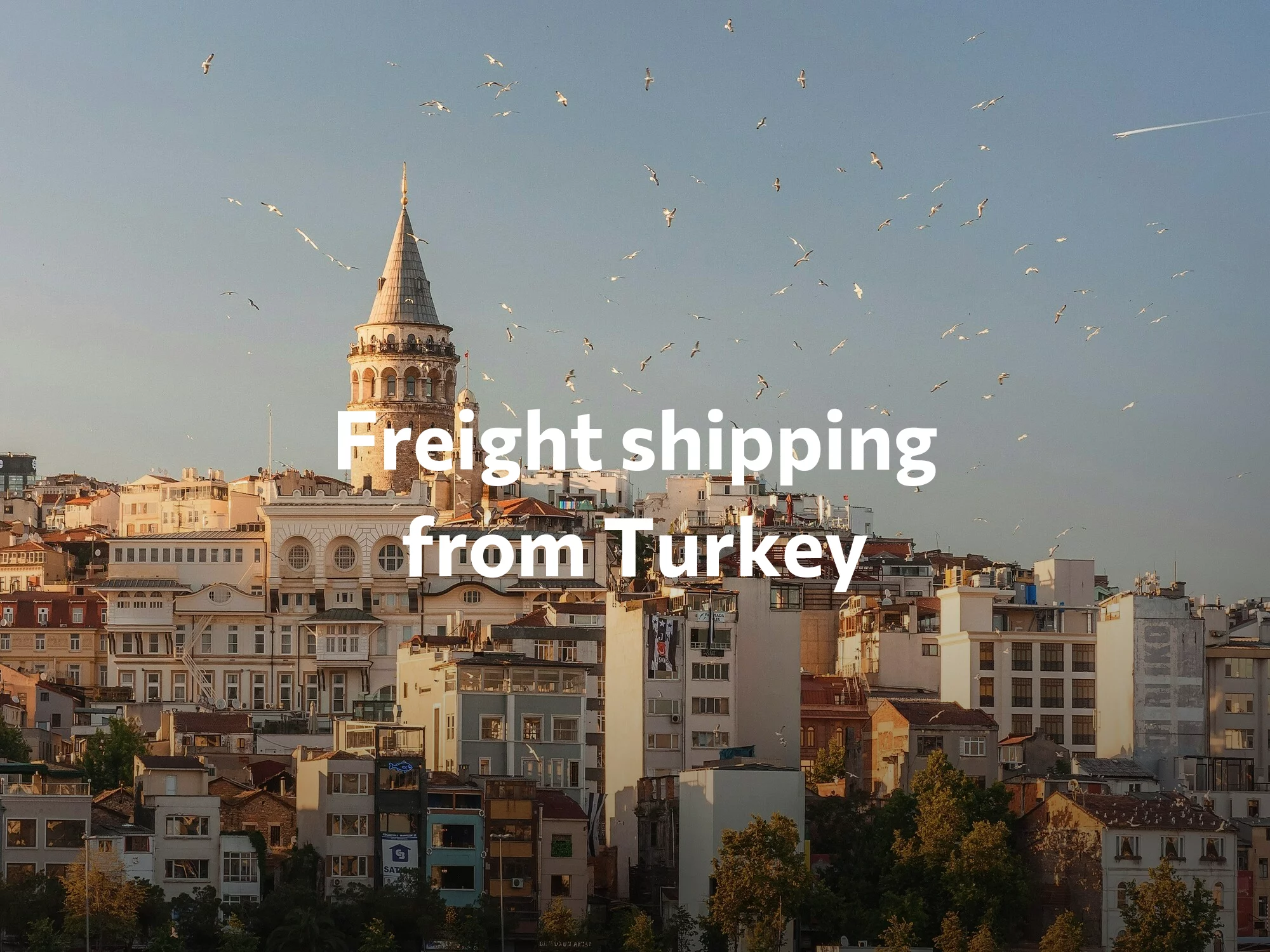 Shipping company from Turkey, freight rates for FTL and LTL shipping in Turkey