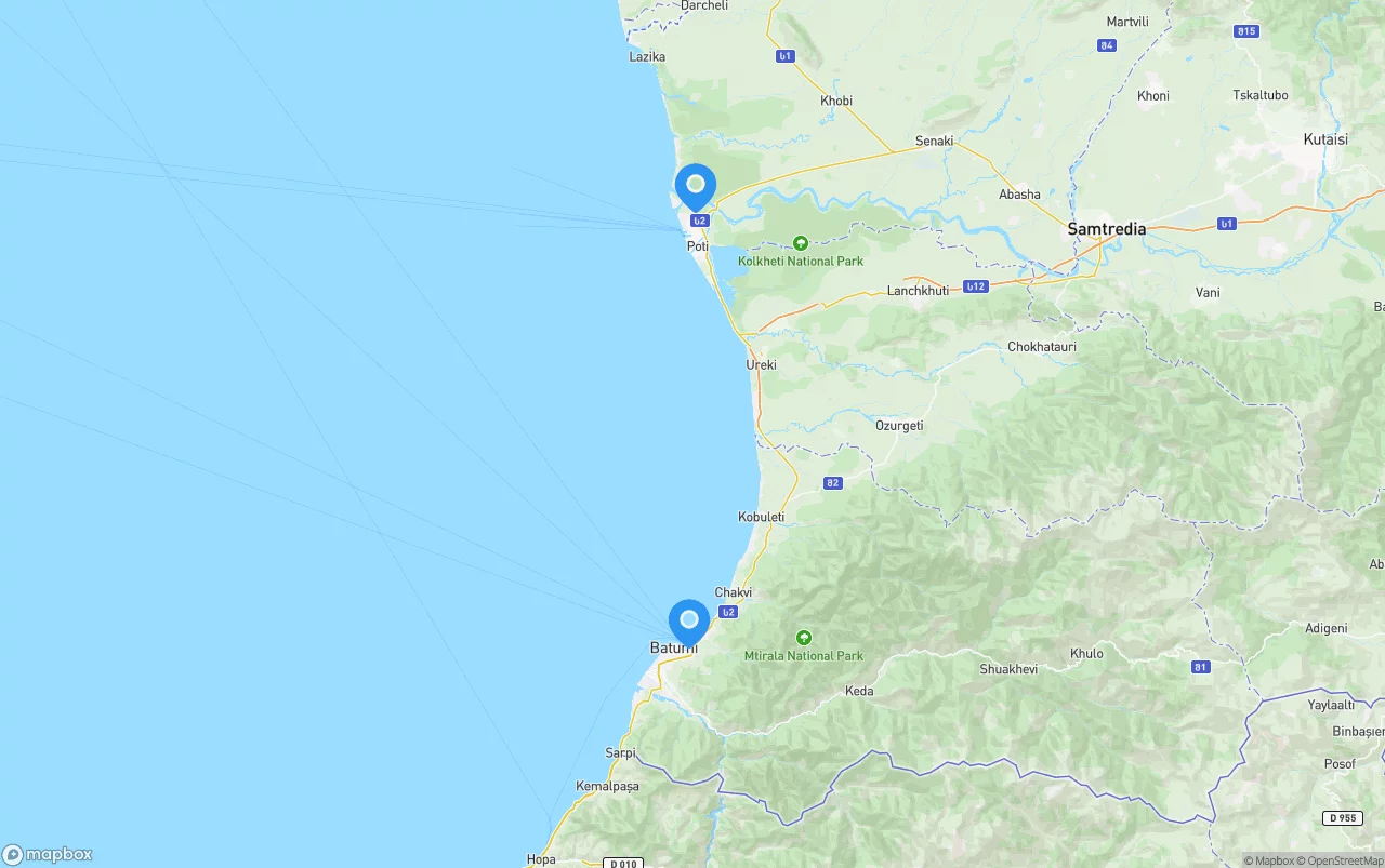 Shipping company from Georgia