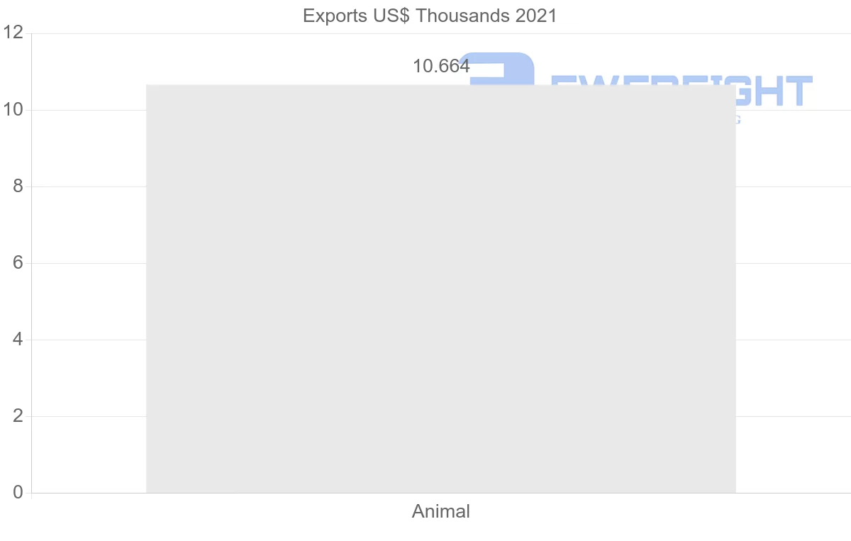 Shipping company from Czech Republic to Angola