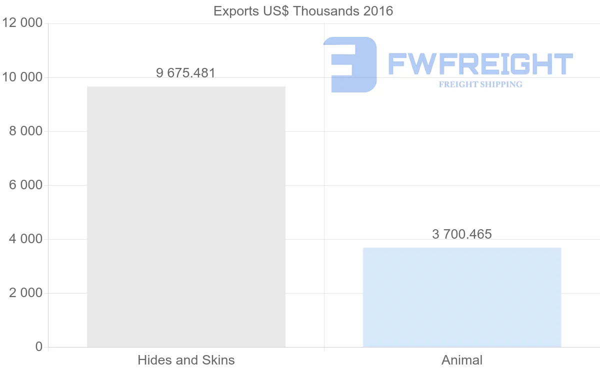 Shipping company from United Arab Emirates to France
