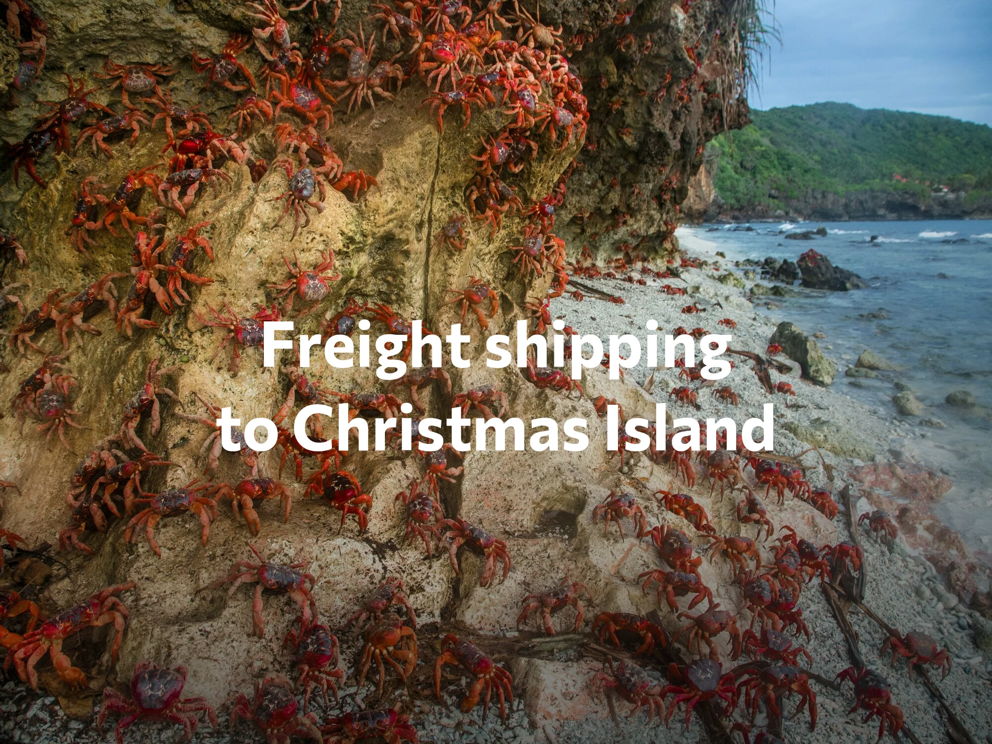 Shipping company to Micronesia, freight rates for FTL and LTL shipping in Micronesia