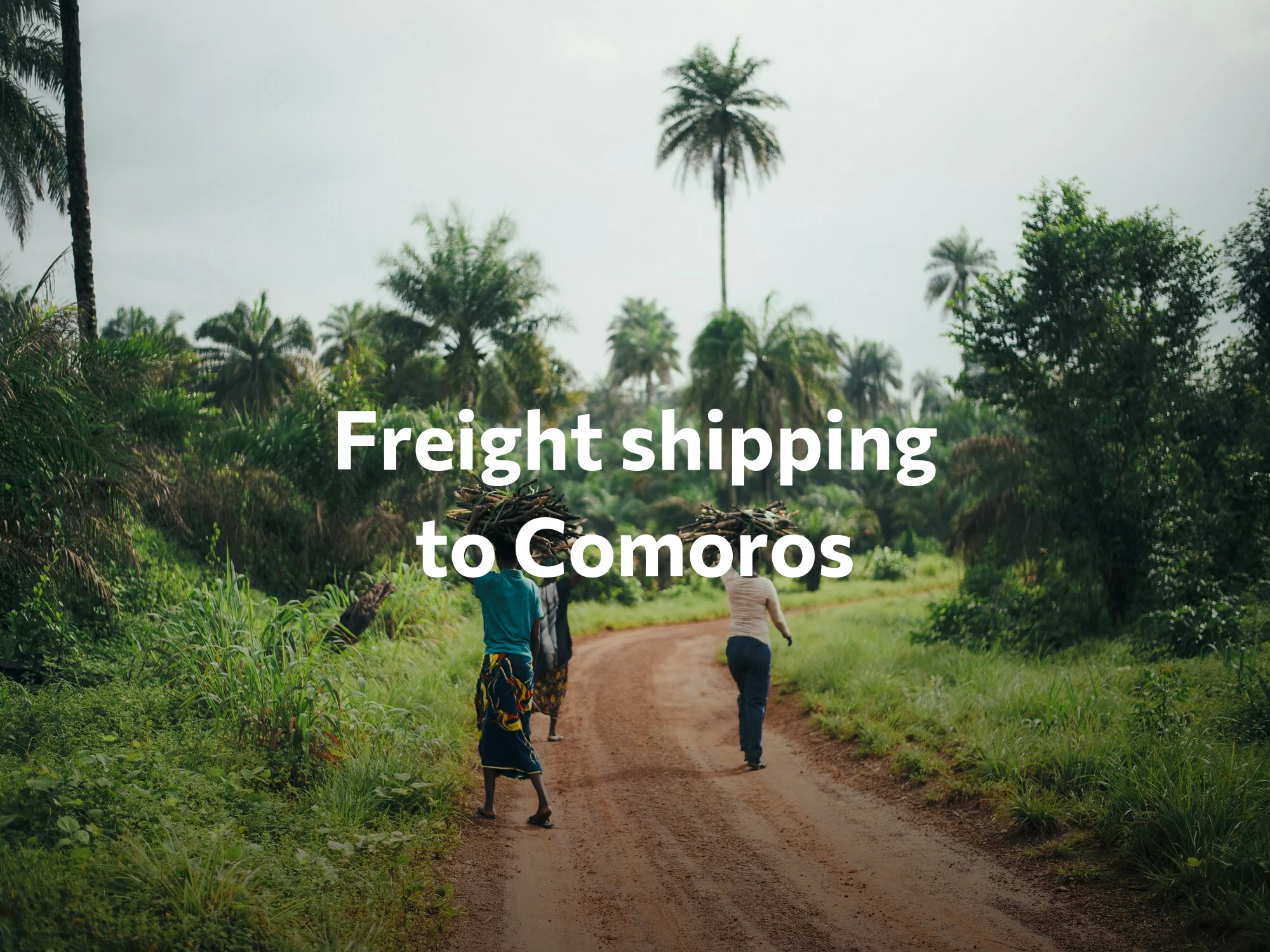 Shipping company to Canada, freight rates for FTL and LTL shipping in Canada