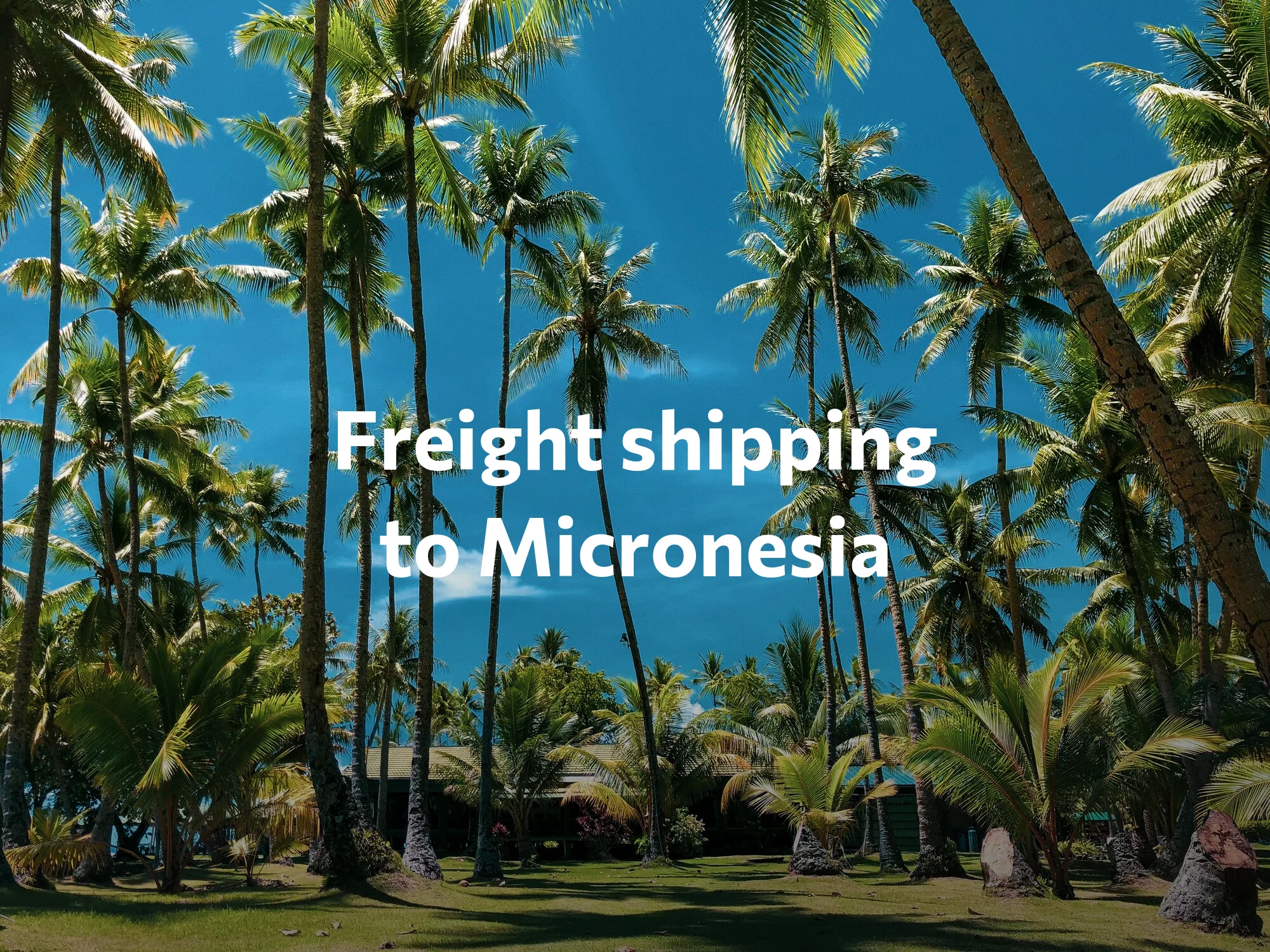 Shipping company to Singapore, freight rates for FTL and LTL shipping in Singapore