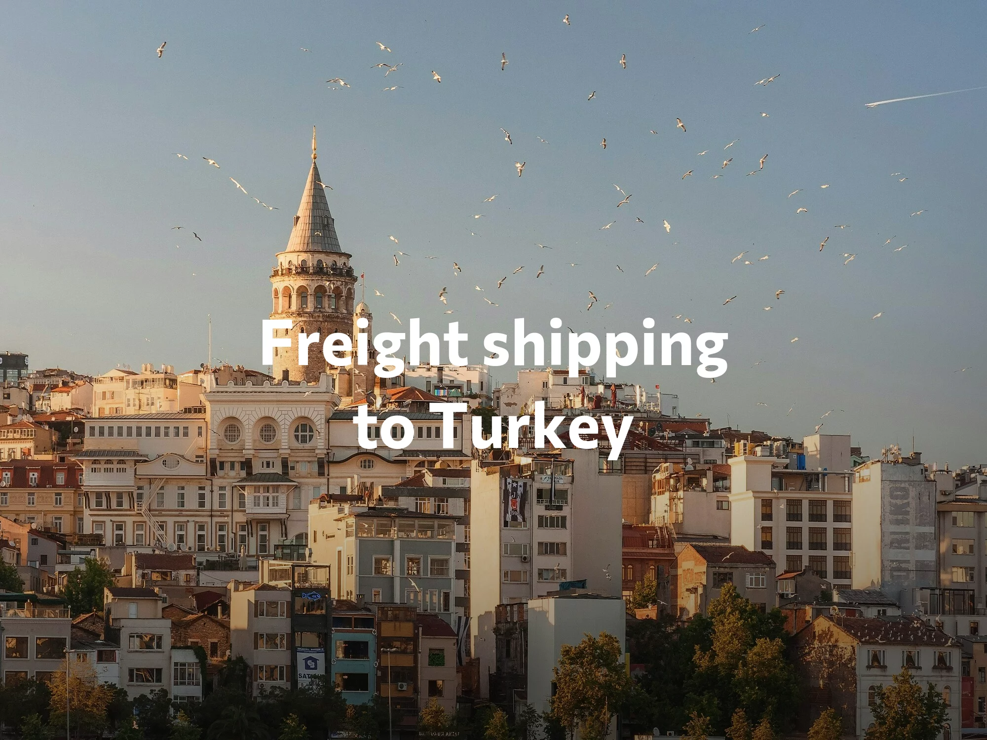 Shipping company to Taiwan, freight rates for FTL and LTL shipping in Taiwan